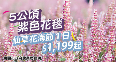 (主題旅遊)5公頃紫色花毯！仙草花海節１日$1,199起