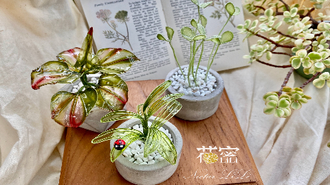 台南 花蜜lili 綠意植栽 Diy體驗 雄獅旅遊 台南 花蜜lili 綠意植栽 Diy體驗 雄獅旅遊