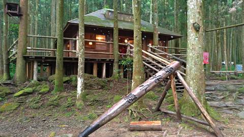 新竹 馬武督 金勇番茄農場 小熊博物館 包車一日遊 雄獅旅遊