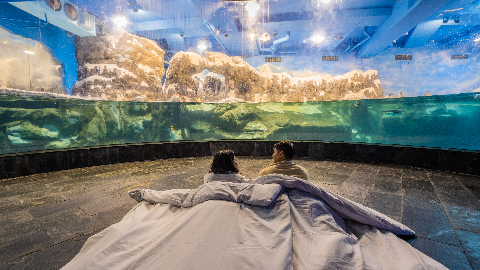 屏東 夜宿海生館 入住世界水域館一晚 極地區 雄獅旅遊