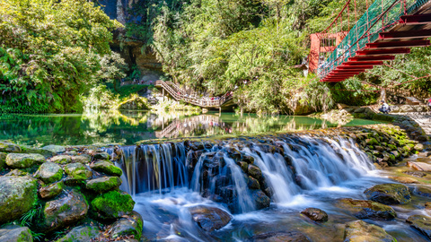 南投 杉林溪森林生態園區 忘憂森林 妖怪村 拼車一日遊 雄獅旅遊