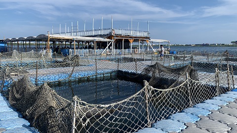 海洋牧場鮮蚵吃到飽,澎湖親子旅遊,澎湖海釣,澎湖親子景點,澎湖親子行程,澎湖親子
