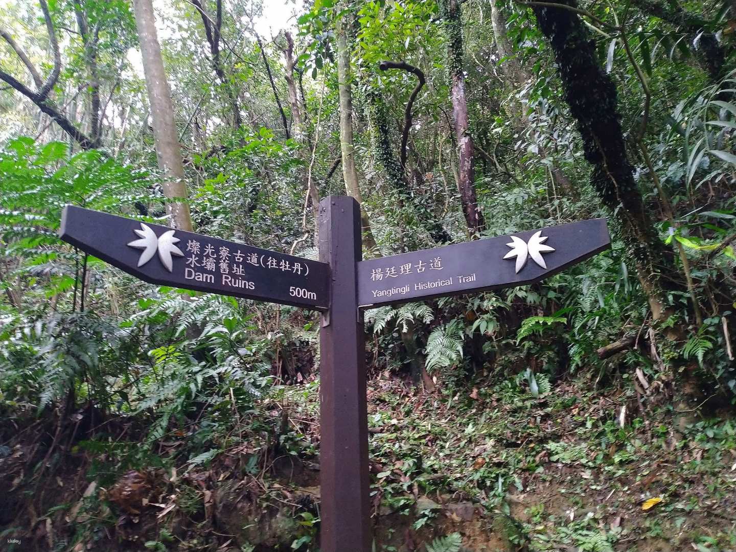 新北 淡蘭古道路線 人氣健行景點一日遊 雄獅旅遊