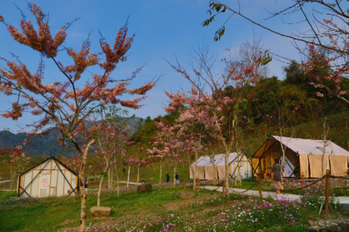 高雄 六龜遠山望月溫泉風呂露營區 寶來花賞溫泉公園 溫泉風狩獵帳篷住宿券 雄獅旅遊 高雄 六龜遠山望月溫泉風呂露營區 寶來花賞溫泉公園 溫泉風狩獵帳篷住宿券 雄獅旅遊