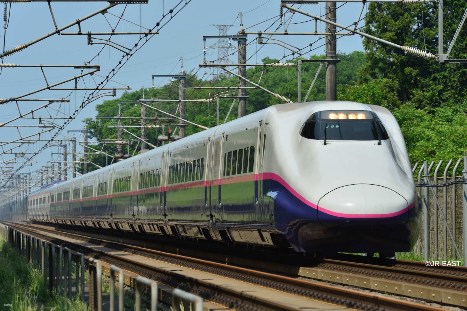 日本 Jr Pass電子票 Jr 東日本鐵路周遊券 長野 新潟地區 雄獅旅遊