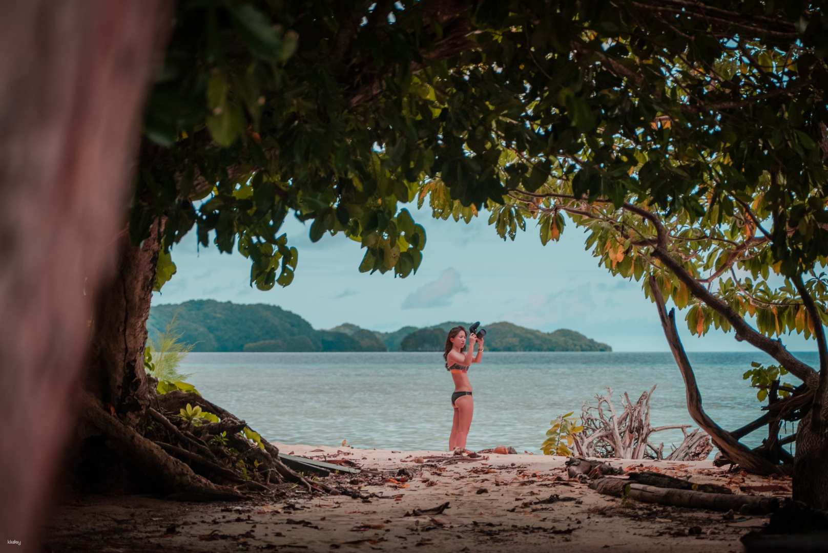 帛琉 1 2 3 5 10 Gb 可加值型網卡 台灣寄送 雄獅旅遊