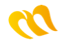airline logo