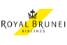 airline logo