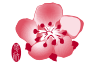 airline logo