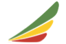 airline logo