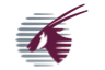 airline logo