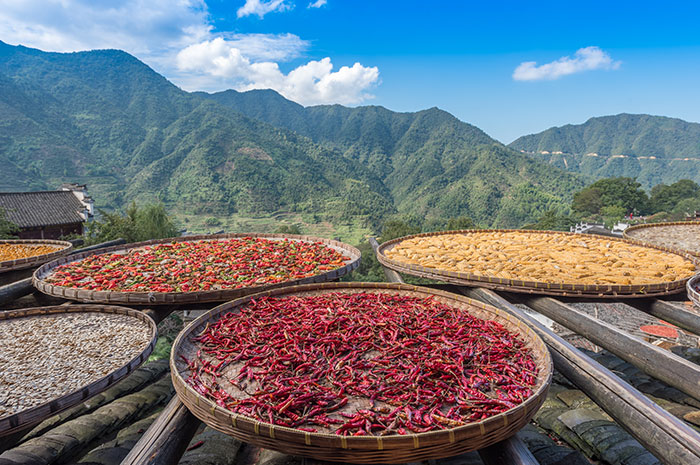 中國大陸>華南