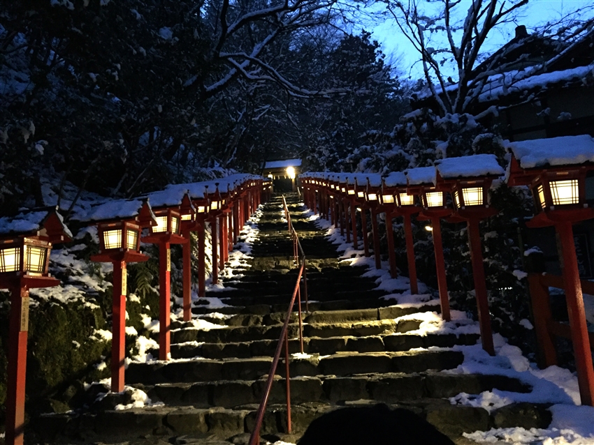 陳○萍/陳多多
