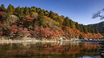(圖) 日本6日｜紅葉雙鐵道