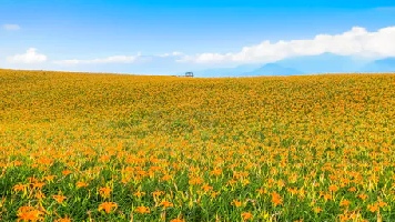 (圖) 台灣5日｜深度環島