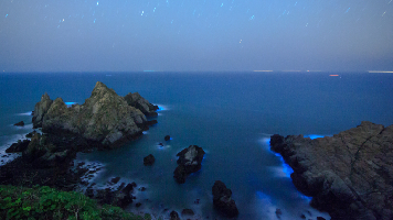 馬祖限定藍色啤酒海
