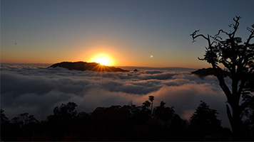 大雪山森林遊樂區門票
