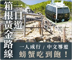 乐游东京迪士尼乐园 机场\/酒店接送服务-雄狮巴