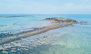 華信航空福朋喜來登自由行機加酒