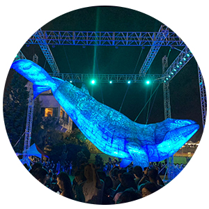 2019澎湖國際海灣燈光節