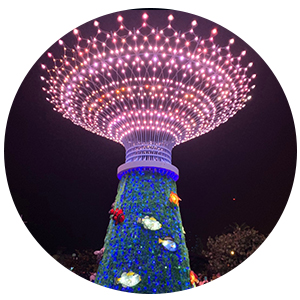 2019澎湖國際海灣燈光節