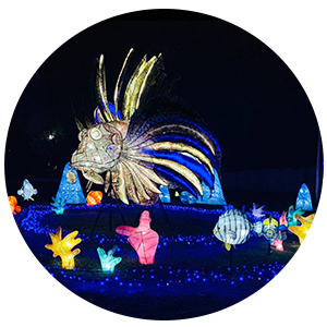 2019澎湖國際海灣燈光節