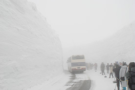 立山雪牆搶先看