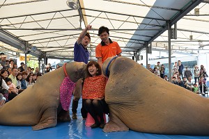 鳥羽水族館