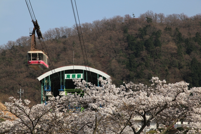 【別府】空中纜車