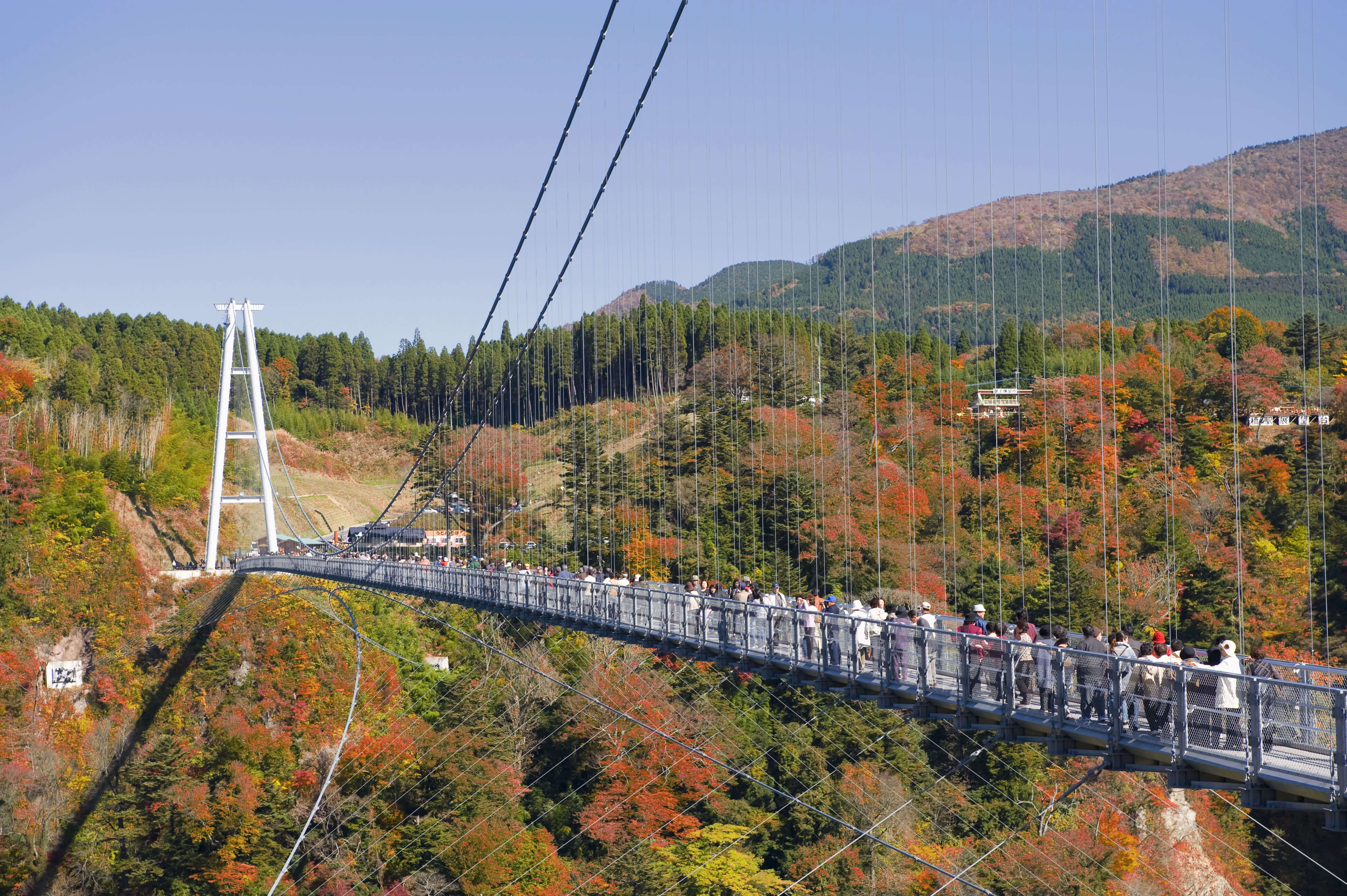 九重夢大吊橋