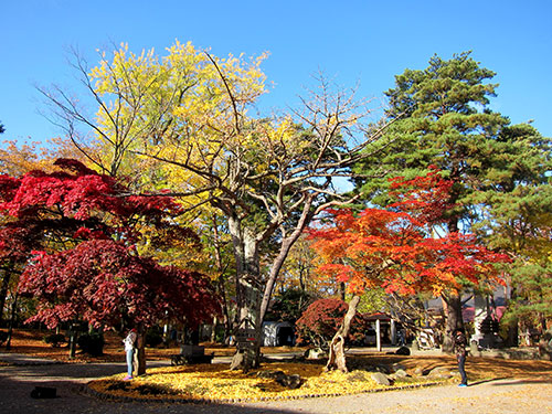 秋田_千秋公園