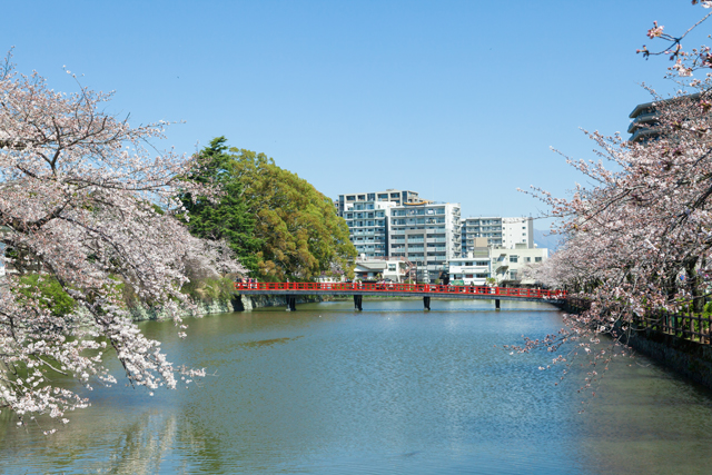 小田原城址公園