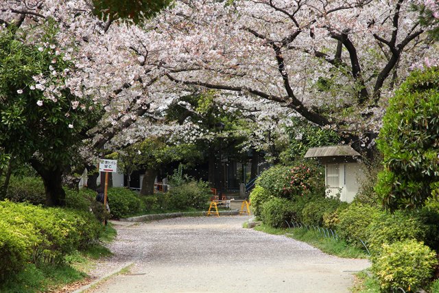 隅田公園