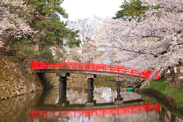 東北賞櫻