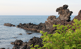 濟州島龍頭岩