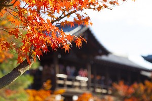 東福寺