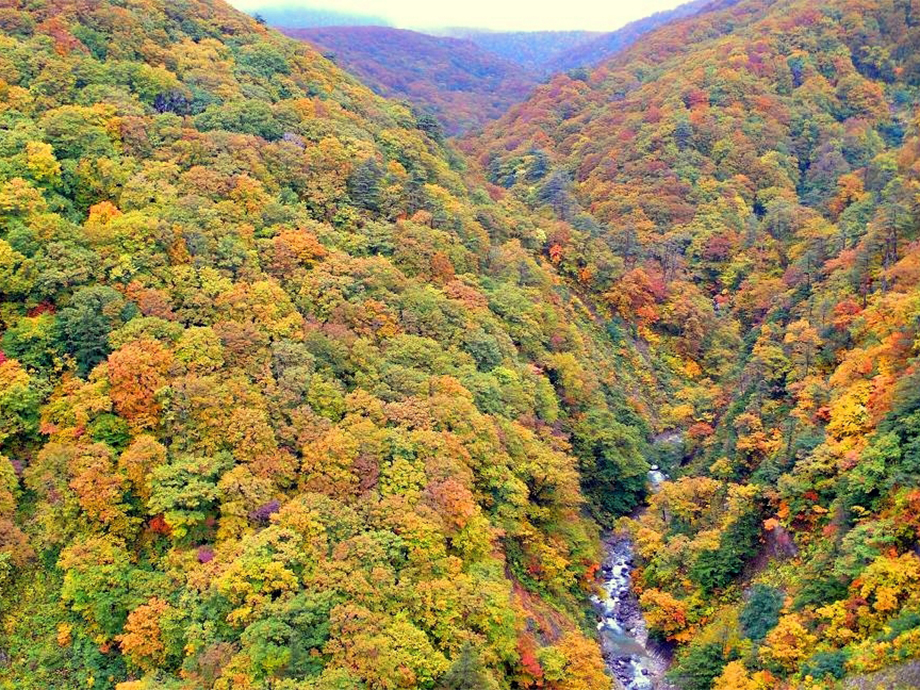 青森 八甲田山