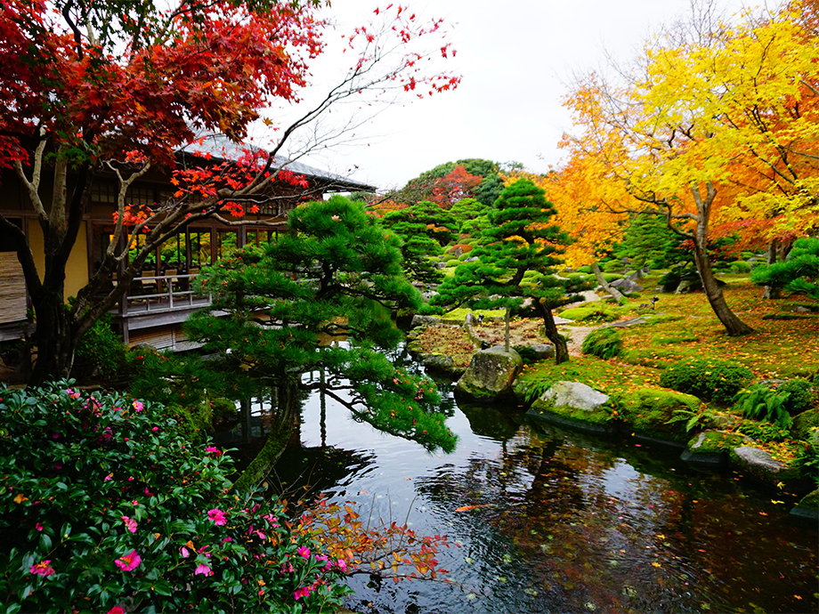 島根由志園