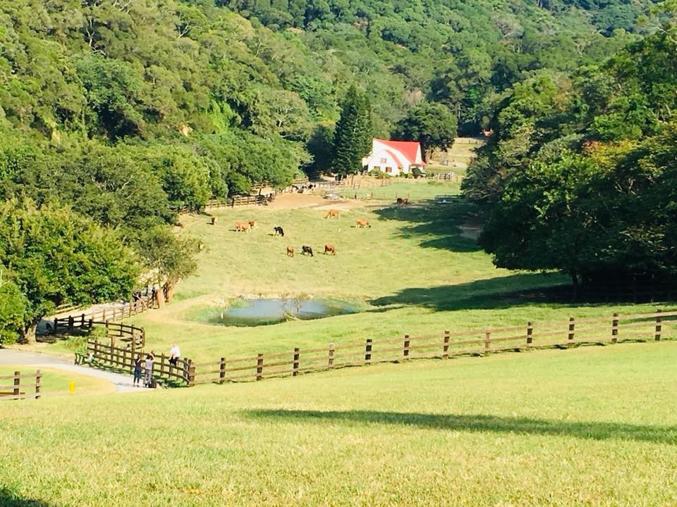 農場住宿,農場旅遊,香格里拉