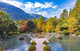 南投,武界,台一生態休閒農場