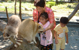 兆豐農場,花蓮,太魯閣