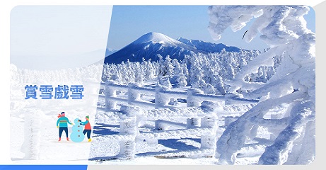 賞雪戲雪