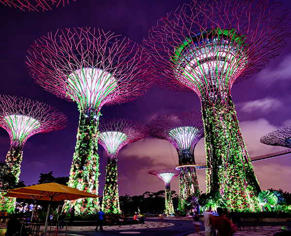 新加坡 濱海灣花園&超級天空樹