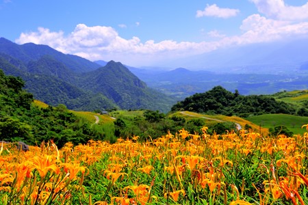 夏季安心趴趴走‧花蓮超值2日遊