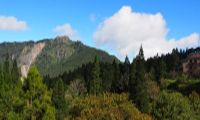 阿里山日月潭清境太魯閣